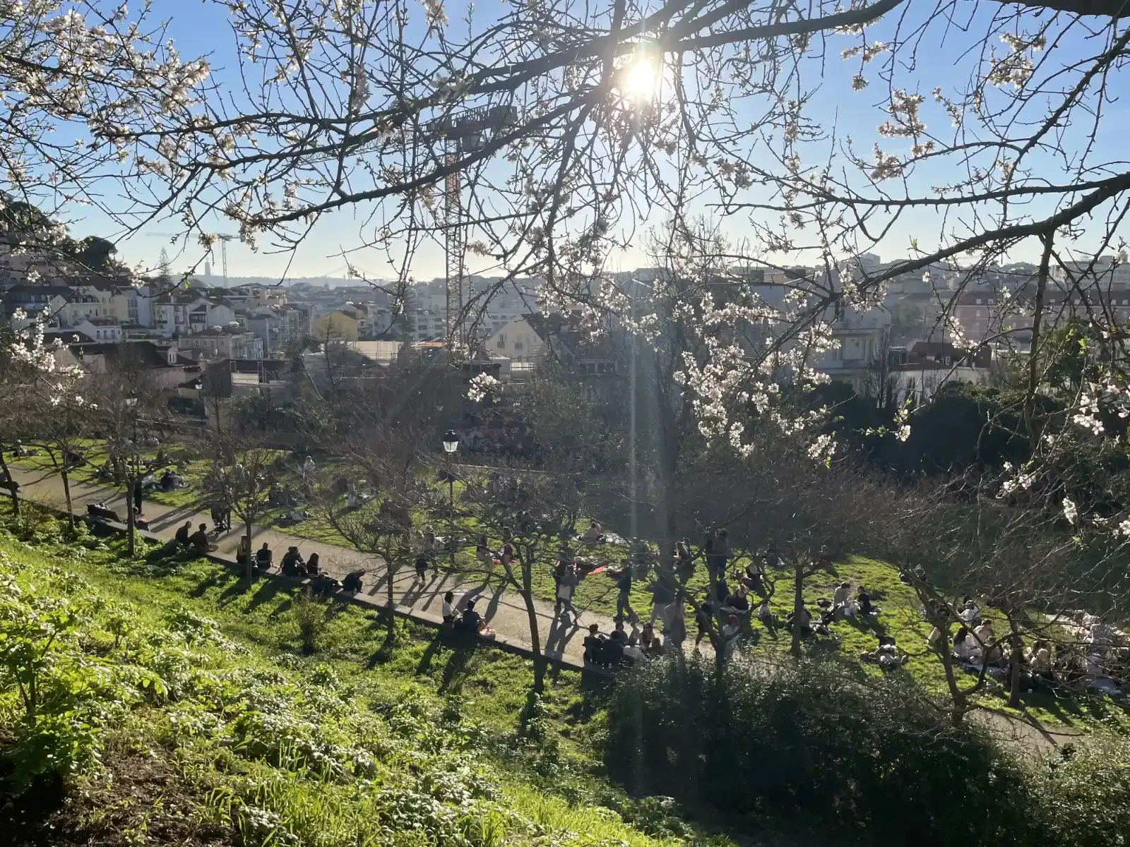 Jardim do Torel and Other Quiet Parks for Relaxing in Lisbon