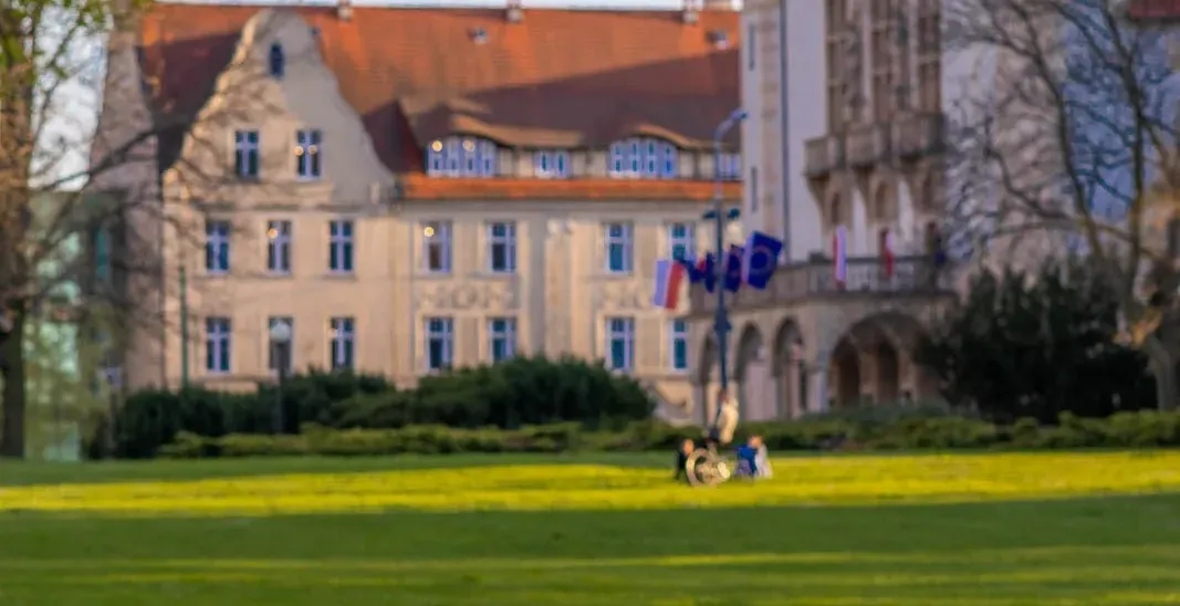 Free Walkative! tour in Germany, showcasing beautiful tulips and historic buildings.