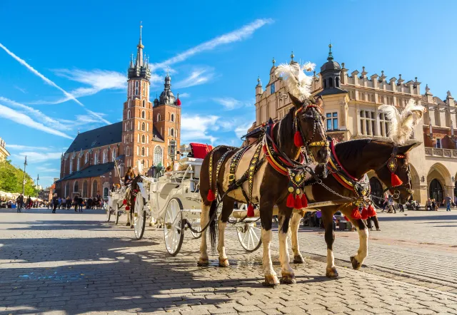 Horse-drawn carriages in Krakow's Main Market Square with St. Mary's Basilica in the background.