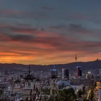 Alessio was absolutely amazing