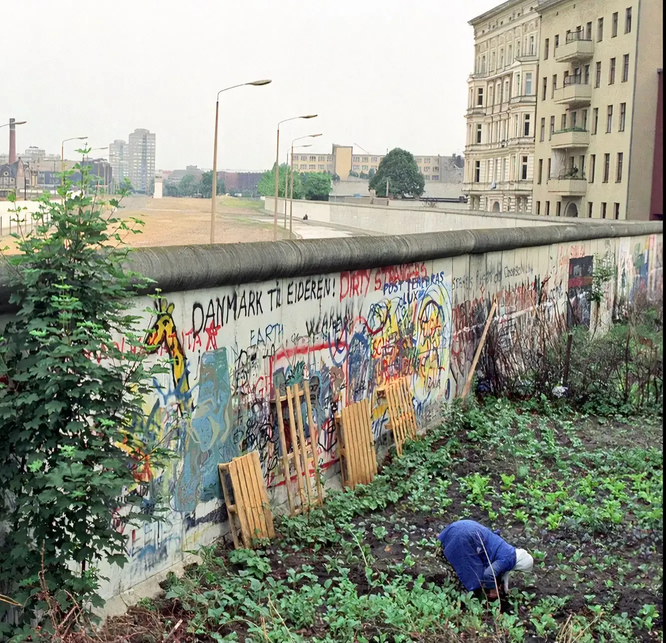 A person tends a vegetable garden alongside the graffiti-covered Berlin Wall, with the death strip visible behind.