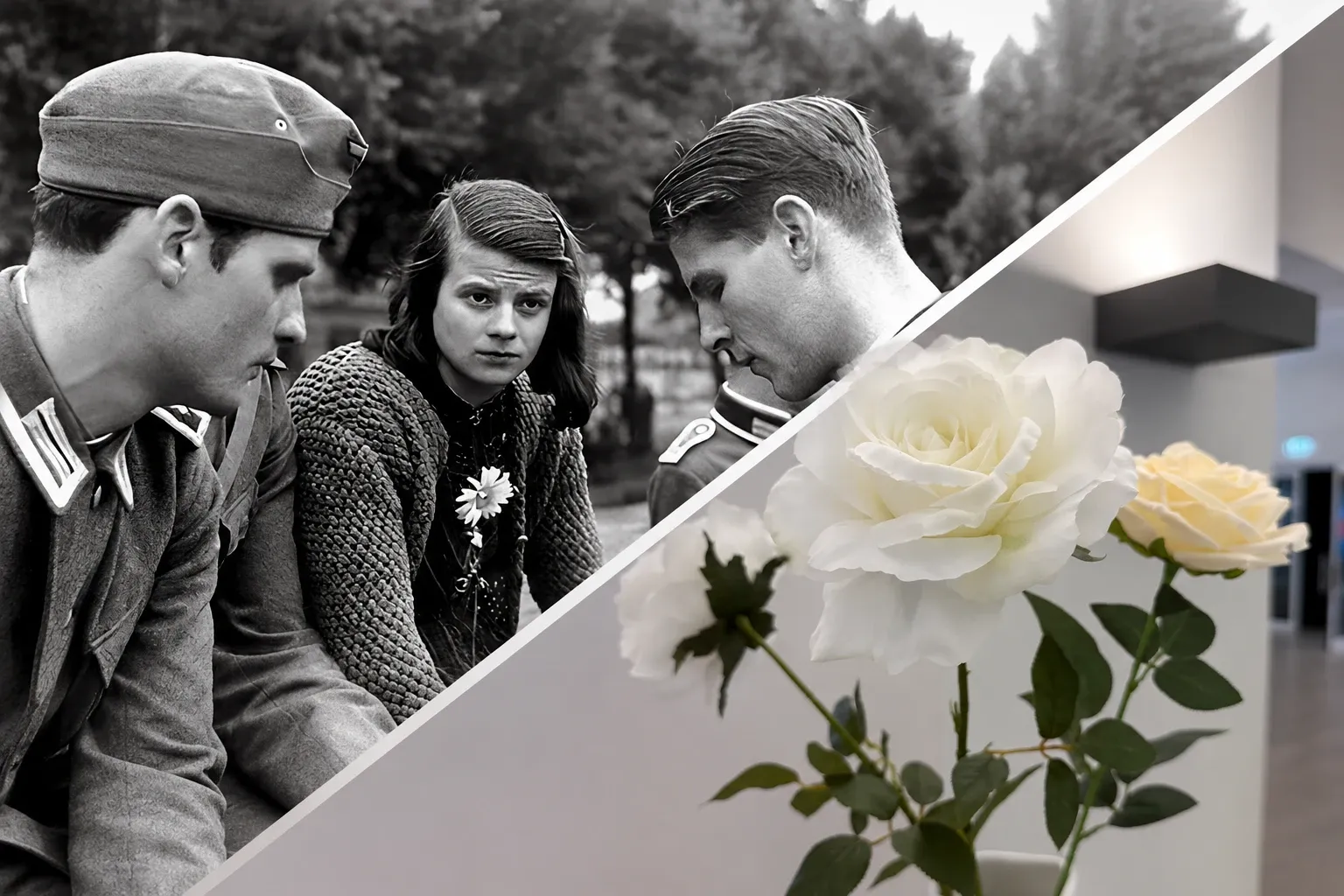 A split image: a B&W photo of Hans and Sophie Scholl and Christoph Probst, and a color photo of white roses.